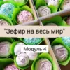 Авторский онлайн-курс "Зефир на весь мир" (Ляйсян Казыргалина)