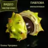 Апельсиновая Павлова(Елена Чуприна)