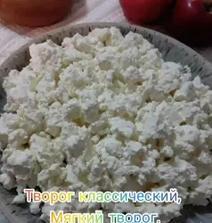 Курс для новичков в сыроделии (Марина Каманина)